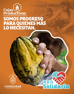 Campaña Lanzamiento RED SOLIDARIA 2-01.png