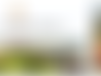 India | Blanket Ban by Top Court on Class 8 Text Book Citing Corruption in Judiciary is akin to Concealing Facts from School Children