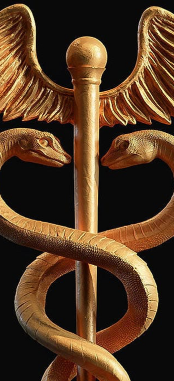 Symbol of Medicine, a rod with two serpent heads.