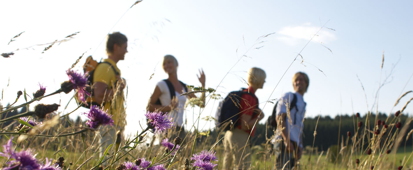 Wandern in Ungarn