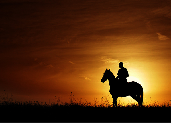 Reiten in Ungarn