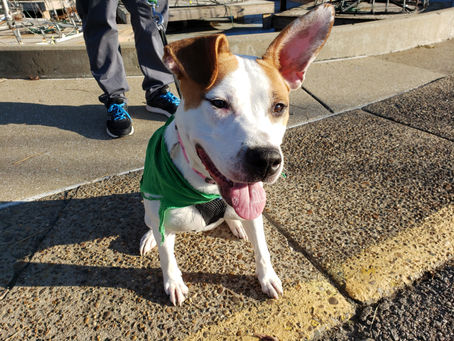 Saturday In The Park With Xena