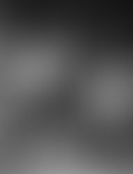 Iggy Pop (and why you will WORSHIP HIM)