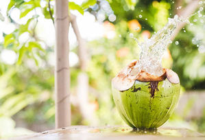 5 Reasons Coconut Water Is Great For Your Health