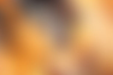 Burn Pockets ~The Revolt By Dollar~Boycotting The Companies Who Manipulate and Prey On Blacks