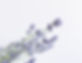 image_edited.jpg