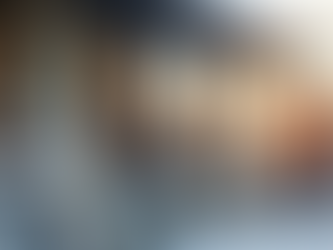 Changement de Fenêtres : Prix Records Bas Pour l'Hiver 2024