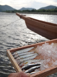 岐阜 鮎料理