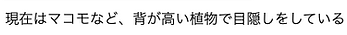 ぎふ川魚自然学校