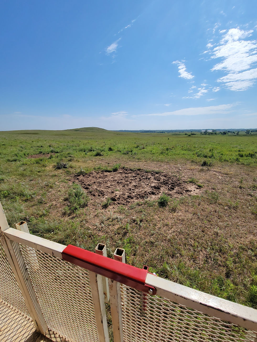 Worth the Detour: A Morning on the Tallgrass Prairie