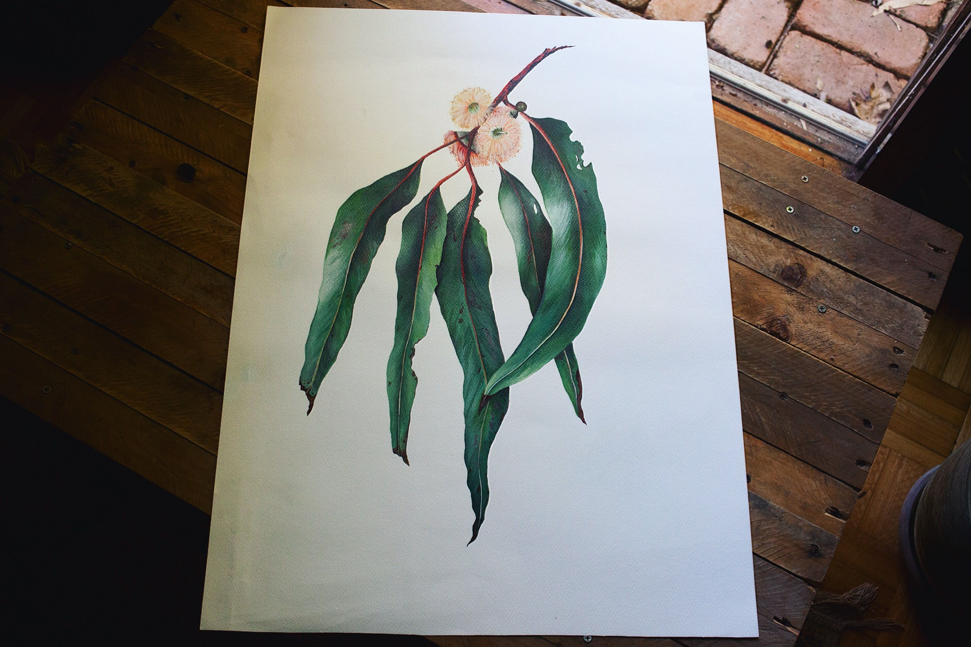 'Falling Eucalyptus' Cotton Rag Print
