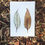 Thumbnail: 'Ebony' Cotton Rag Print