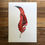 Thumbnail: 'Scarlet' Cotton Rag Print