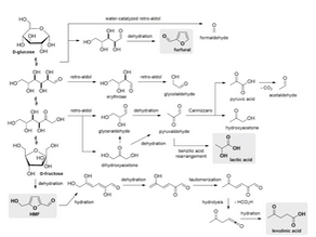 탄수화물에서 바이오 연료 및 고부가가치 화합물로 전환할 수 있는 기술 개발의 연구동향