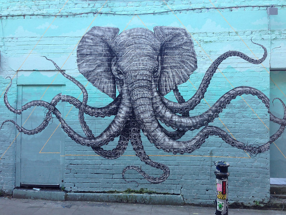 Elephant Octopus Street Art Graffiti