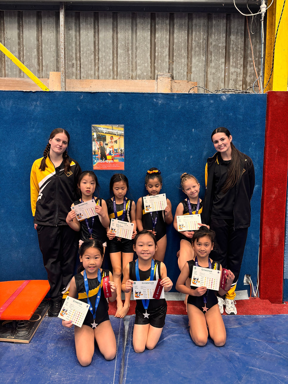 Gymstar level 1&2