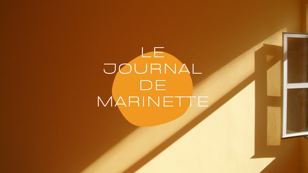 Le journal de marinette