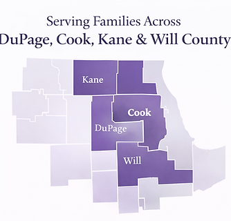 service dupage_cook_will_kane.png
