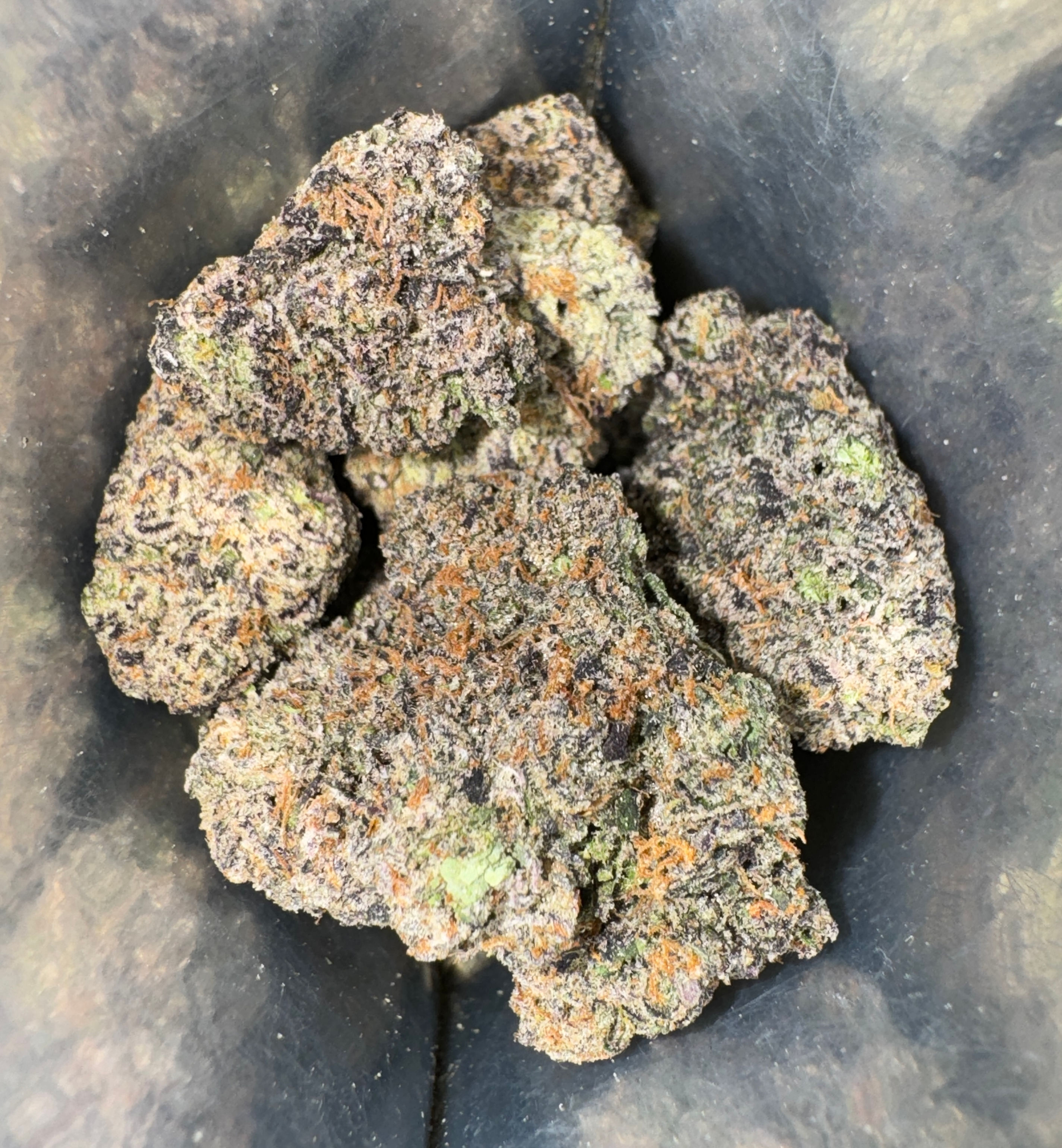 APPLE FRITTERS [HYBRID]