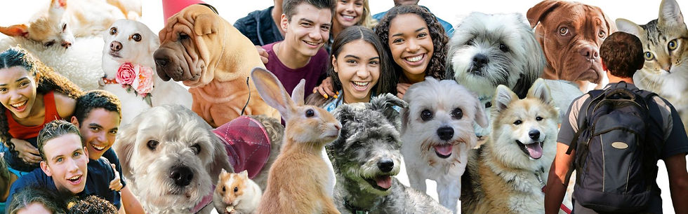 teens, dogs, cats