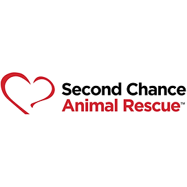 Second Chance square.png
