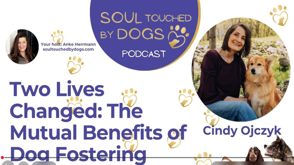 podcast image with woman and dog