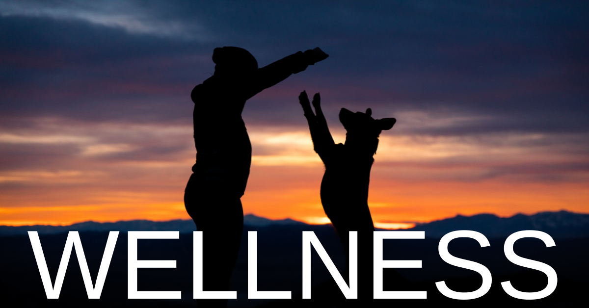 ウェルネス.png