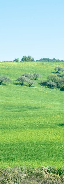 DSC_0158.jpg