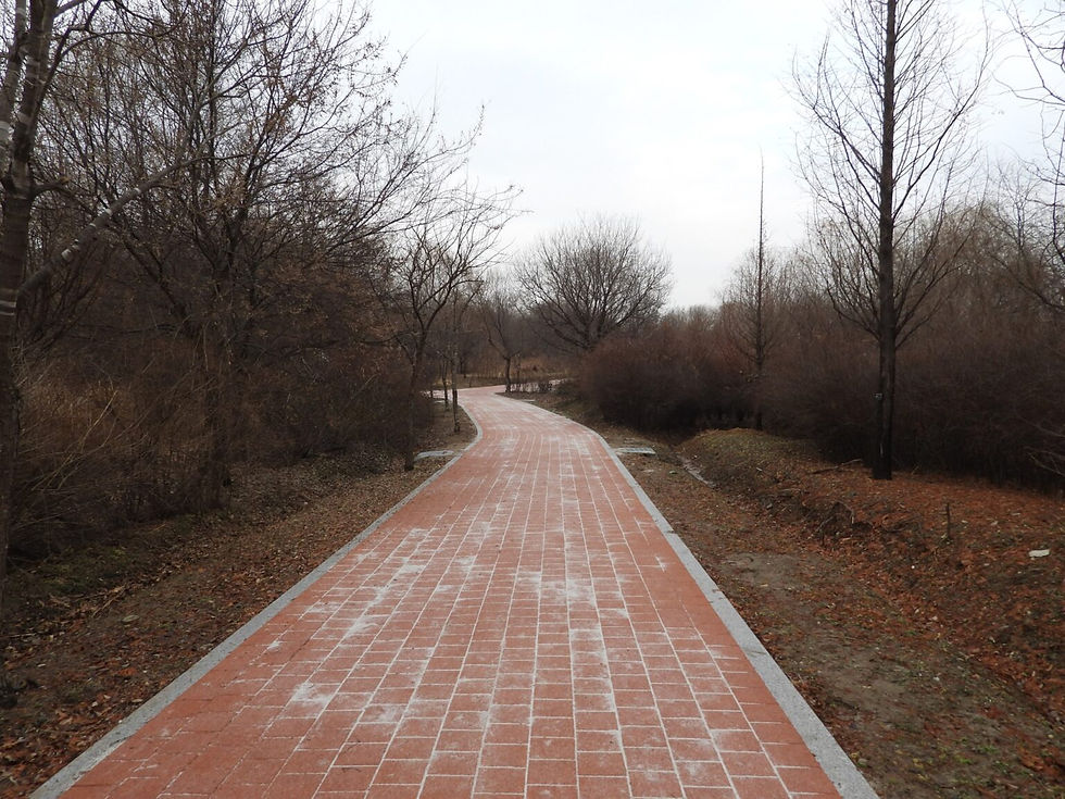 Pic 7: Wherever you go in Korea after some time, “improvements” have been made, like this wonderful paved way in Kangseo Seubji. Before, it was just a dirt track. Since anyway no bikes or rollers are allowed on this track, this was absolutely appropriate. Who thinks of making things in an ecology park so clean and sterile? A sad reality here… (© Bernhard Seliger).