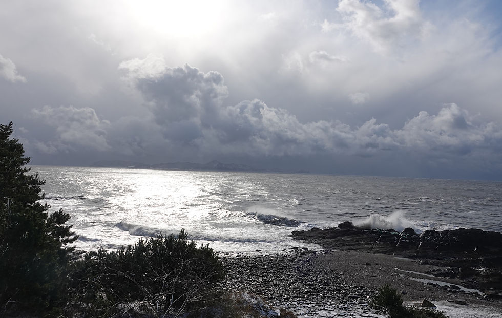 View looking south to Daecheong Island, ROK © Nial Moores