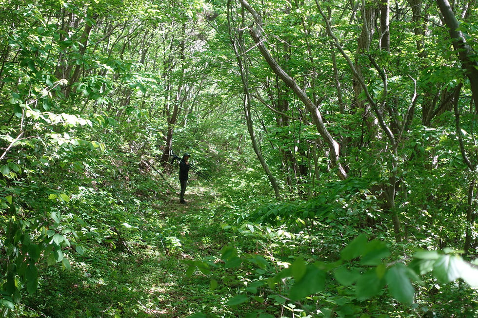 The author..moving slowly!