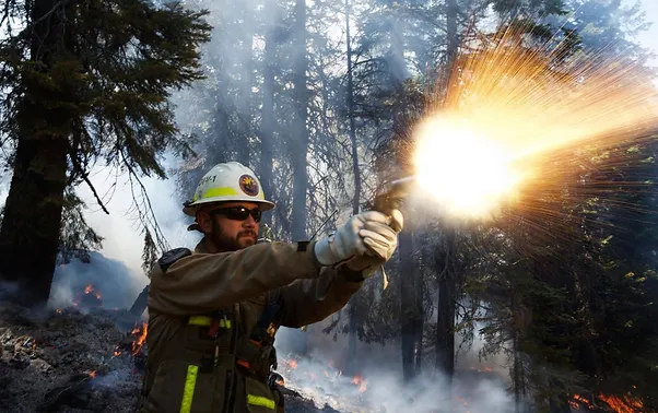 Emergency Services Daisymountainfire