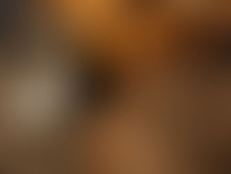 4月出展予定について