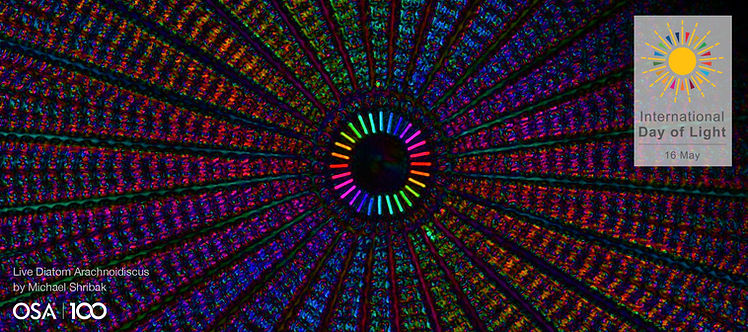 IDL-banner-6.jpg