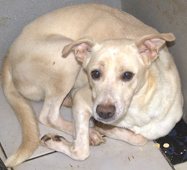 WhatsApp Image 2023-07-27 at 10.50.00 (1).jpeg