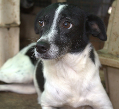 WhatsApp Image 2023-07-27 at 10.55.06.jpeg