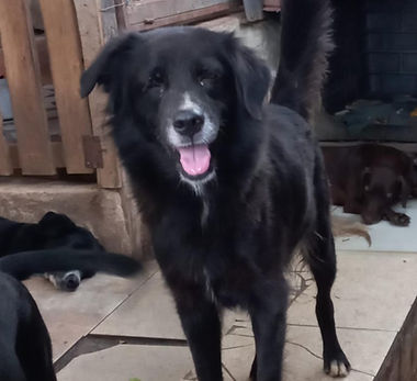 Imagem do WhatsApp de 2024-02-14 Ã (s) 15.30.58_621ec0c3 (1).jpg