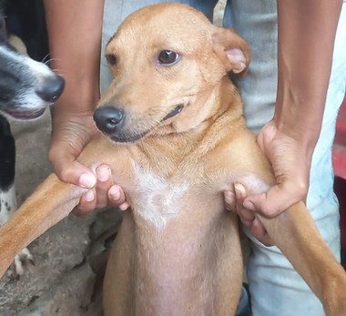 Imagem do WhatsApp de 2024-02-14 à(s) 15.10.37_e7c1f51a (1).jpg