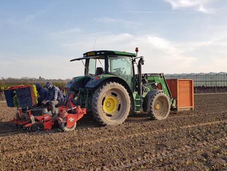 Keeping calm and carrying on planting