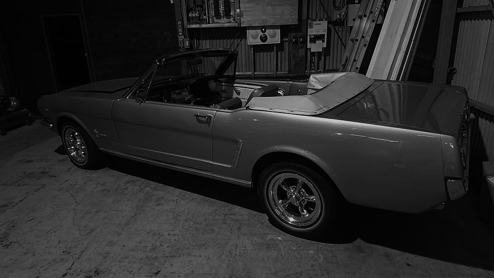 DSC_1585_edited.jpg