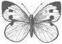 08-18-25 Grey Logo ErisKleinCreates Butt