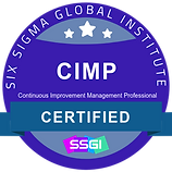 Continuous Improvment Manager