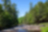 Bear Creek 3