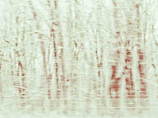 Jacques said Love!-8