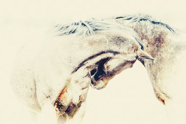 The unexpected parenthesis #8