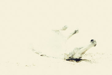 The unexpected parenthesis #9