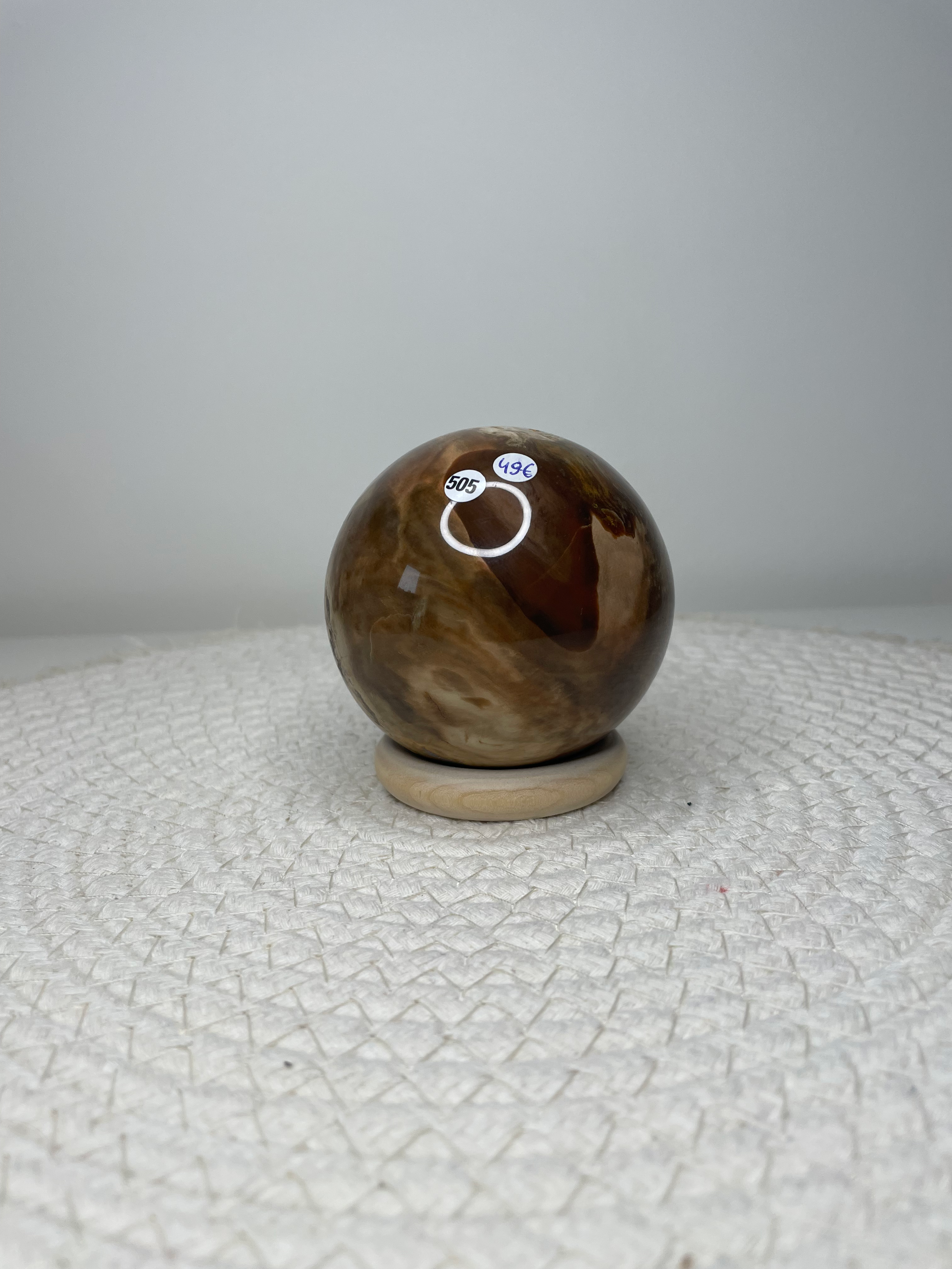 Bois fossilisé #505