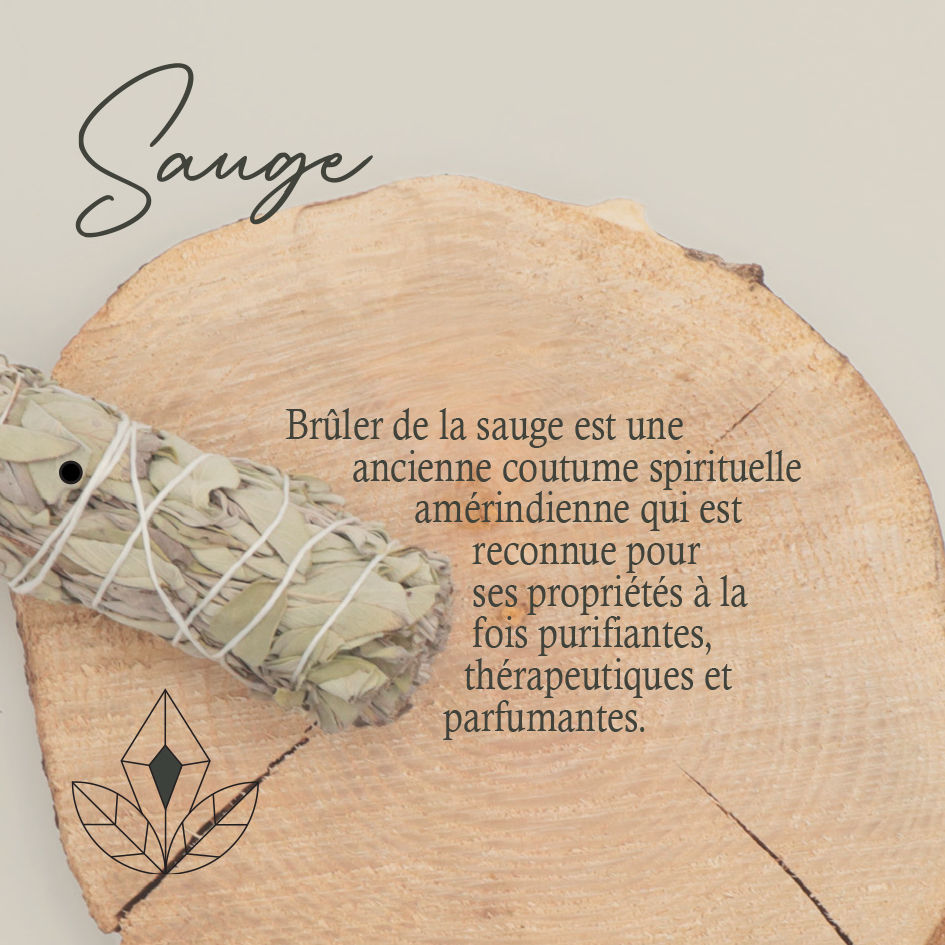 Miniature : Fagot de Sauge blanche
