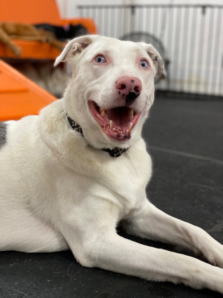 This may be our favorite photo that any staff member has ever taken of Maui. He's such a good model.