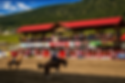 Williams Lake Stampede.png